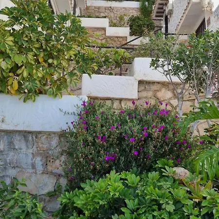Casa Del Mar - Apartamento Benidorm