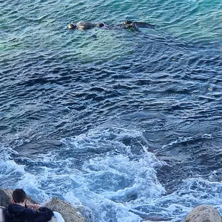 Casa Del Mar - * Benidorm